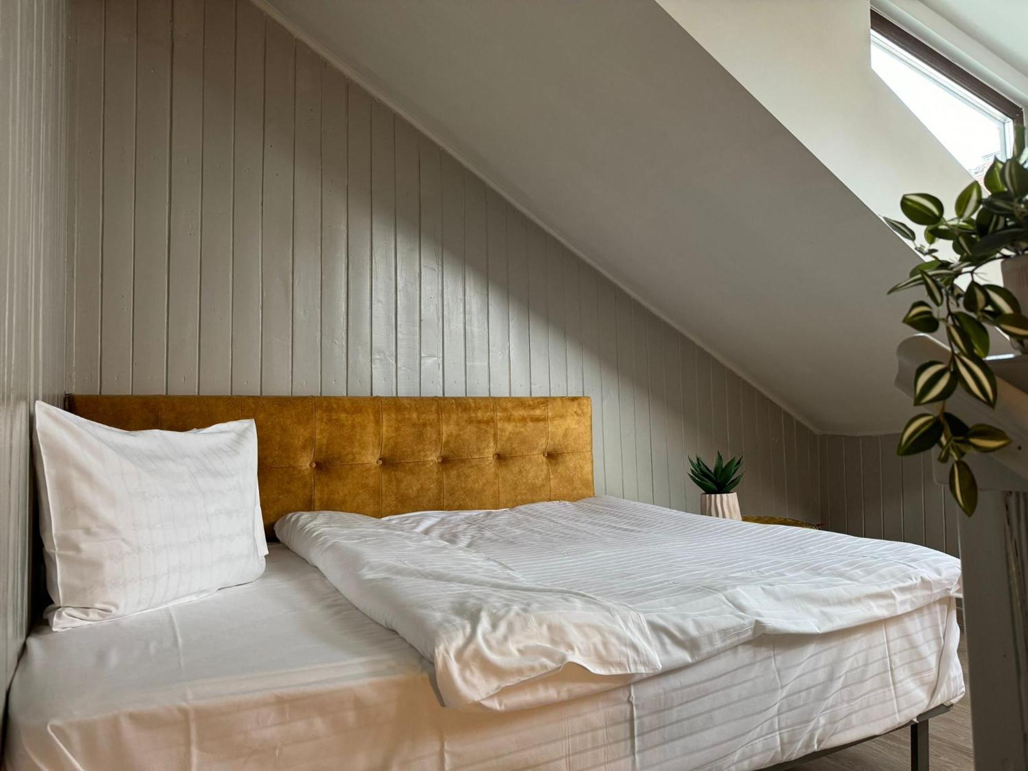 Central Stay Braşov Dış mekan fotoğraf